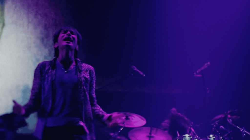 デルモ TOUR POPSAURUS 2012